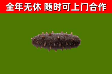 道外烟酒回收干海参.jpg